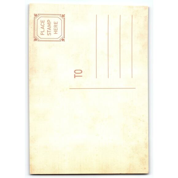 Vintage Halloween Postcard Skeleton Witch with Jack-O-Lanterns 5.5x4" - Picture 2 of 2